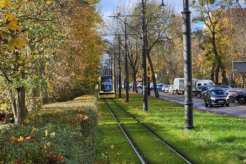 Zielone torowisko w listopadzie