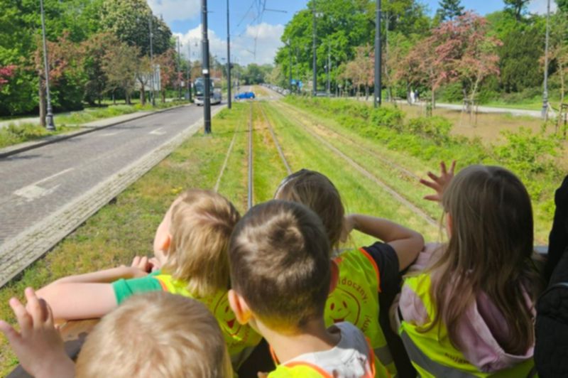 Zielony przystanek tramwajowy w Toruniu